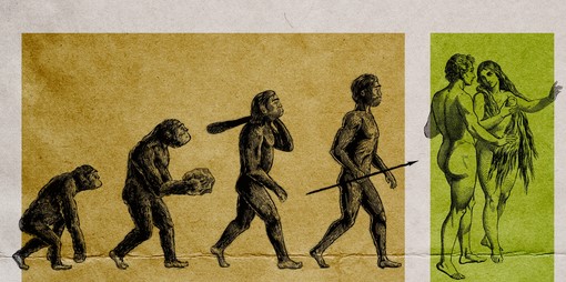 The Marvel of Evolution - Exploring Life's Grand Narrative
